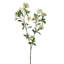 Jets de jardin 43 "Spirea