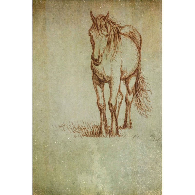 Dessin d'un cheval de ranch vue de face