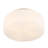 Edgemont 4-Light Ceiling Light in Brass-1005118396