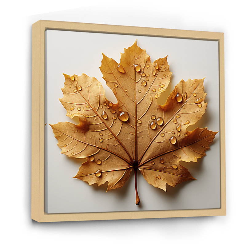 Feuilles brunes réduction roussâtre I, H 30 po x l 30 po x P 1 po, Cadre naturel flottant