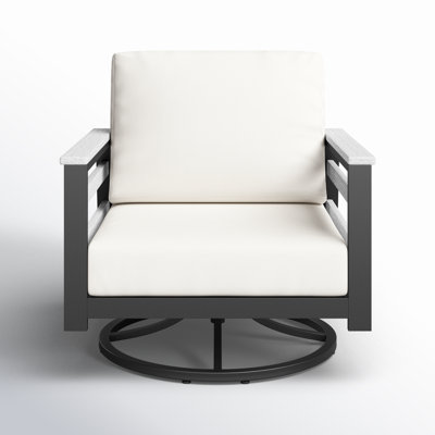 Townsend Metal Outdoor Swivel Rocking Chair with Sunbrella Cushion by Birch Lane