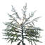 Givre 6,5 pi x 48 po Norfolk 5 mm + G40 1006WW-1627464254-1627464643
