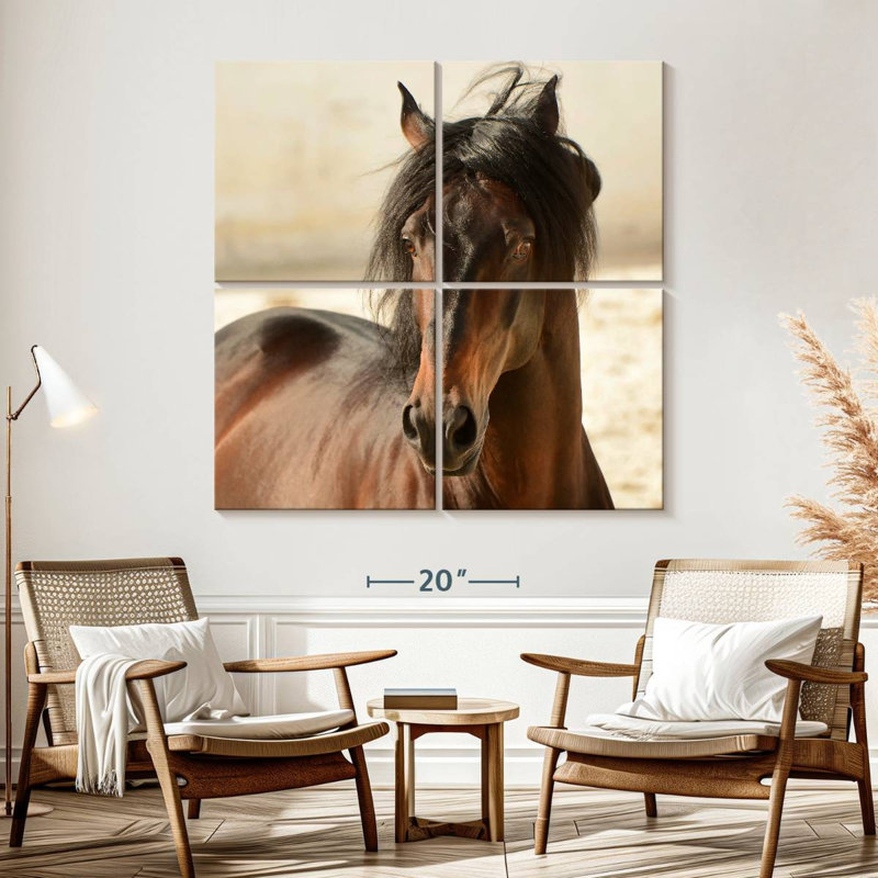 Brampt Brown Casanova, 57" H x 57" W