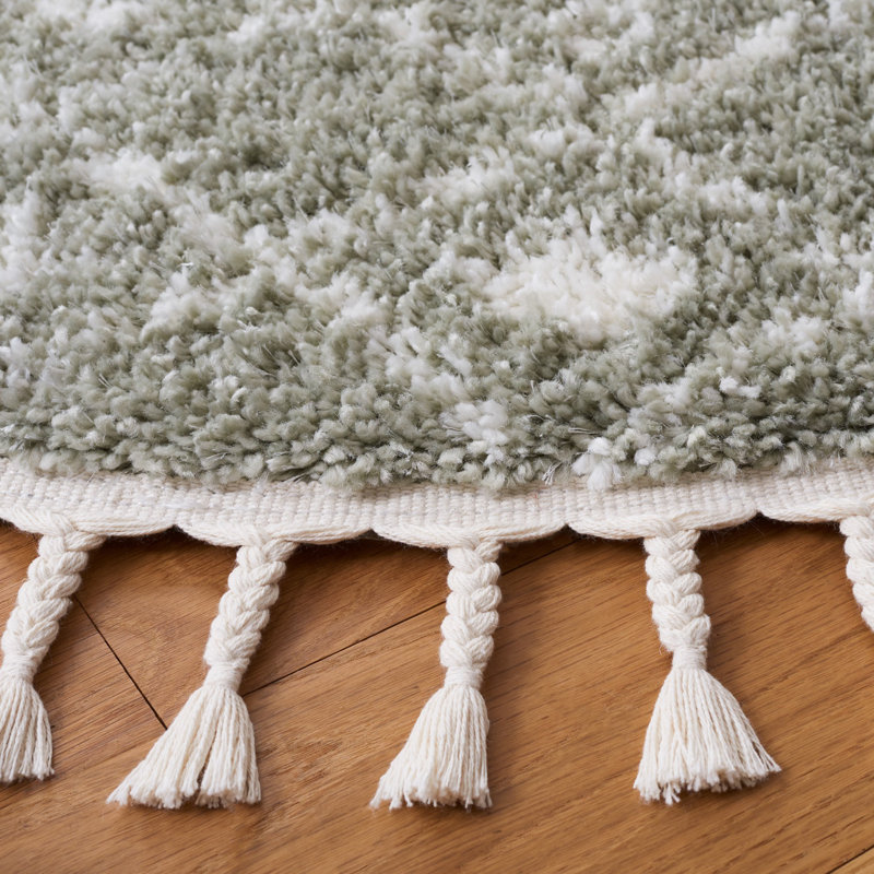 Tapis à poils longs Akiesha Performance, Rectangle 4 pi x 6 pi