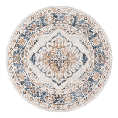 Oriental Indoor Rug