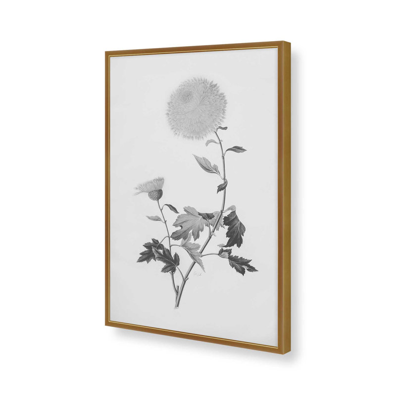 «Botanical IV» par Deborah Revell, reproduction d'art, H 18 po x l 12 po, Doré