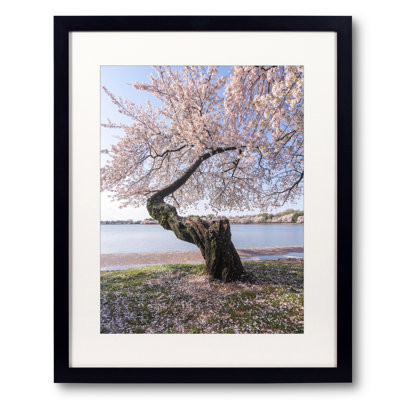 Petals Everywhere Print by Angela Pan