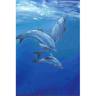 Under Sea Dolphins