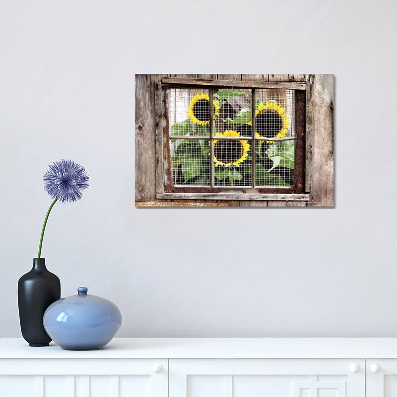 Looking In by Irvin Hoover - Wrapped Canvas Print, 30.48 cm H x 45.72 cm W