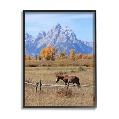 Mountain Mountain Horse par Daniel Sproul