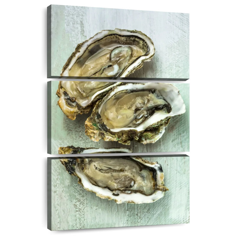 Oyster Shell, 74" H x 48" W