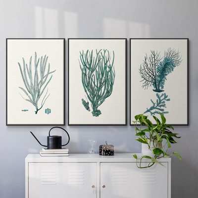 " Antique Coastal Coral VI " 3 - Pieces
