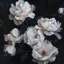 Papier peint floral foncé Moody