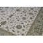Walton Oriental Area Rug