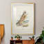 Hawk Owl - reproduction de cadre photo-265332222-265332223