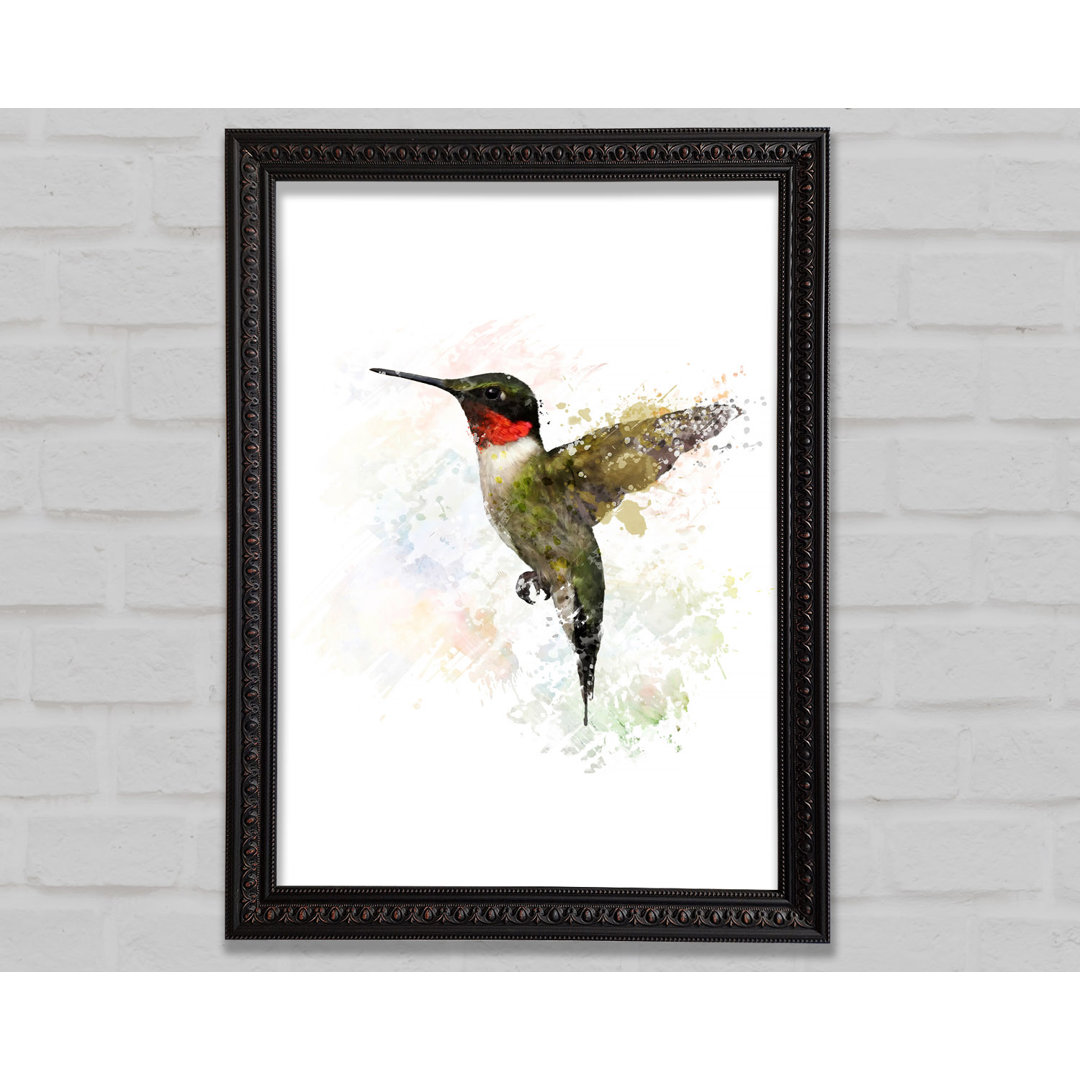 Hummingbird Wings - Einzelner Bilderrahmen Druck