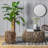 Linmore Side Table