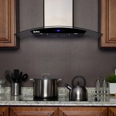 Velivi 30 800 Cubic Feet Per Minute Convertible Insert Range Hood with  Light Included