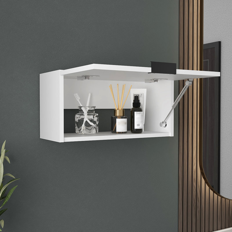 Wall Cabinet, 1 Door, 1 Shelf