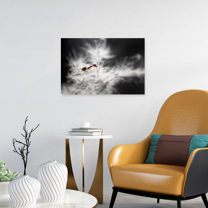Red Ant On Dandelion Seed Delicate Dreamy Ethereal Ant Dandelion Nature Wall Art Print 1 Piece Wrapped Canvas Wall Art