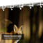 Rideau de douche avec 12 crochets Red Fox-149675759