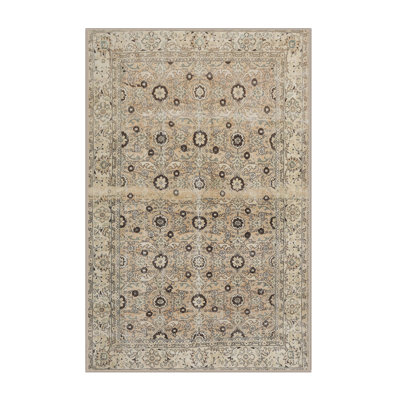Anwen Oriental Indoor Rug