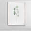 Reproduction d’art sur toile encadrée d’eucalyptus doux-343973301-343973300