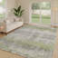 Tapis abstrait intérieur / extérieur lavable à la machine Chantille ACN2756-884916094-884915975
