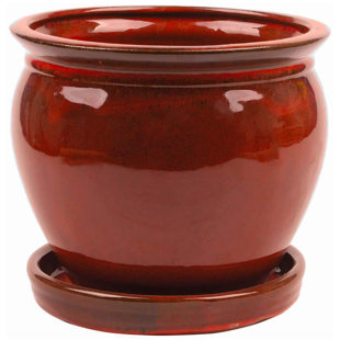 Ceramic Pot Planter