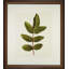 A Little Piece Of Nature V Print