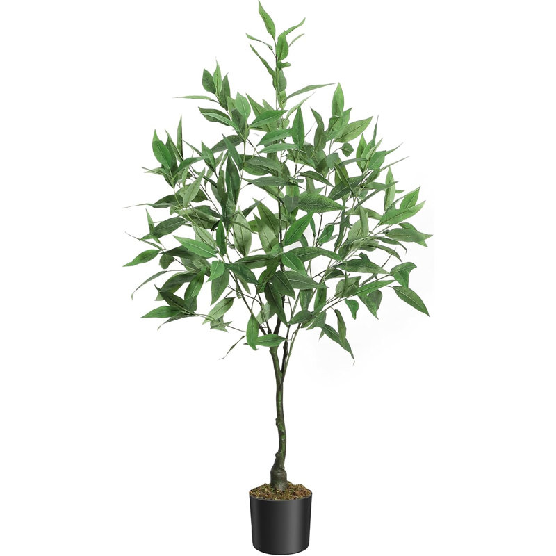 122cm Plant