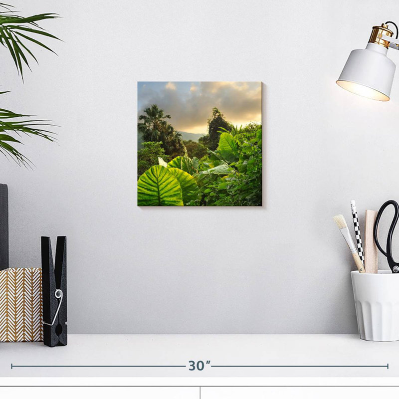 Alvord Borneo Rainforest, 10" H x 10" W