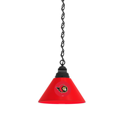 1 - Light Single Pendant