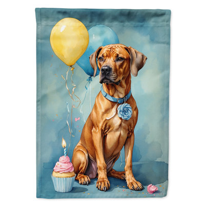 Drapeau «Happy Birthday House»
