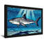 Requin animal nageant sous l'eau avec des rayons de soleil-1398609224-1398609271-1398609268
