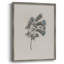 Impression florale vintage encadrée CCXI - bois massif-1687023252