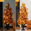 Composition d'assortiment mixte