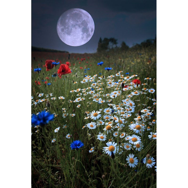 Myanh Moonrise Over Green Field - impression, H 18 po x l 12 po