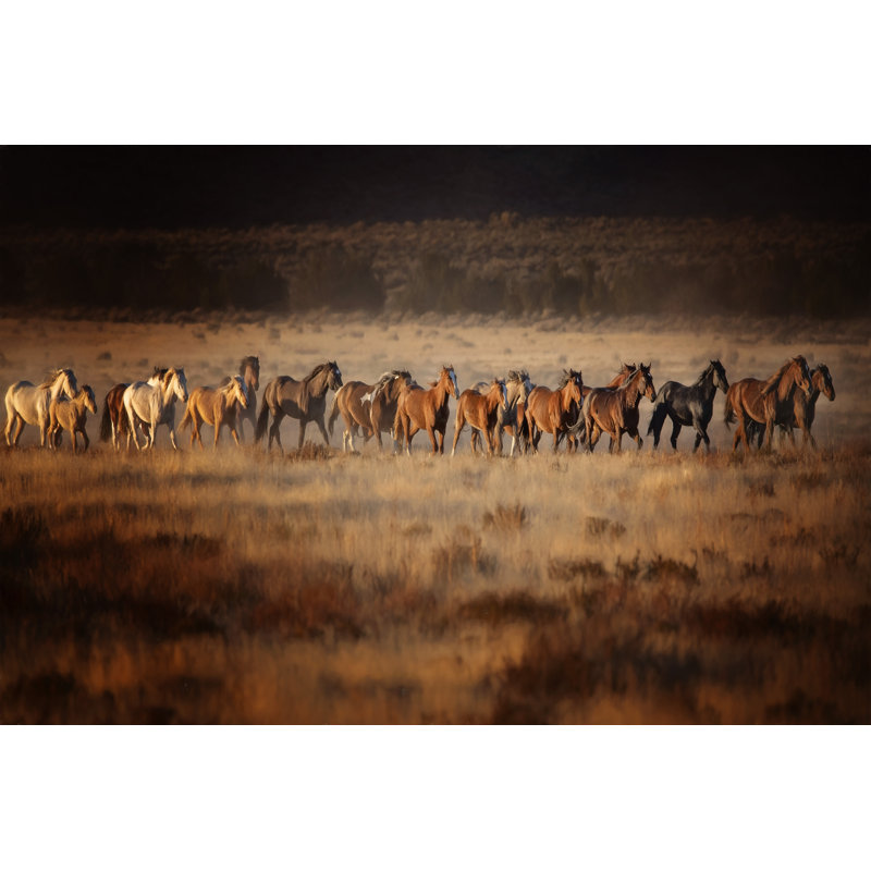 «Horse Run VII» par PHBurchett - reproduction d'art sur toile tendue, H 20 po x l 30 po