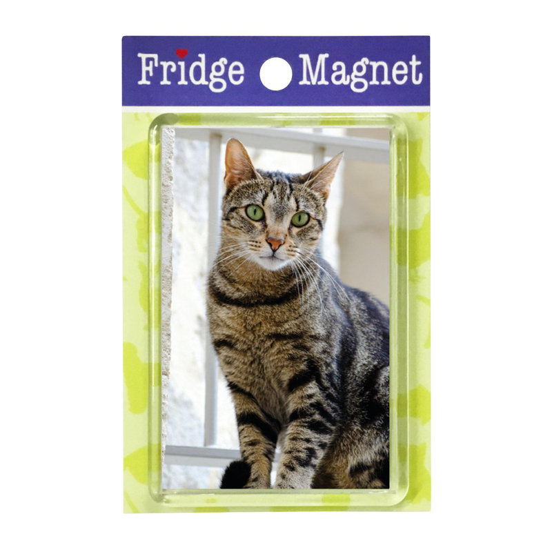 Fridge Magnet