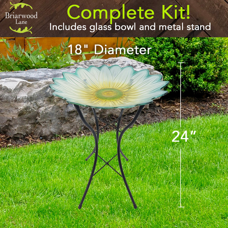 Glass Daisy Bird Bath