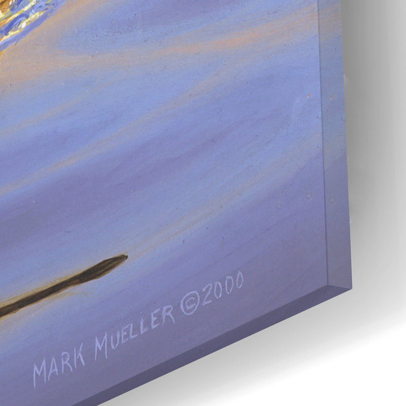 «Lone Pintail» par Mark Mueller, art animalier, H 12 po x l 16 po x P 0,13 po