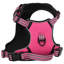 Pet Carrier-1521727703