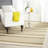 Arneshia Striped Machine Made Power Loom Acrylic Indoor / Outdoor Area Indoor/Outdoor Area Rug in Green/Beige-1589023257