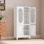 Armoire de rangement verrouillable polyvalente en fer-2032160621