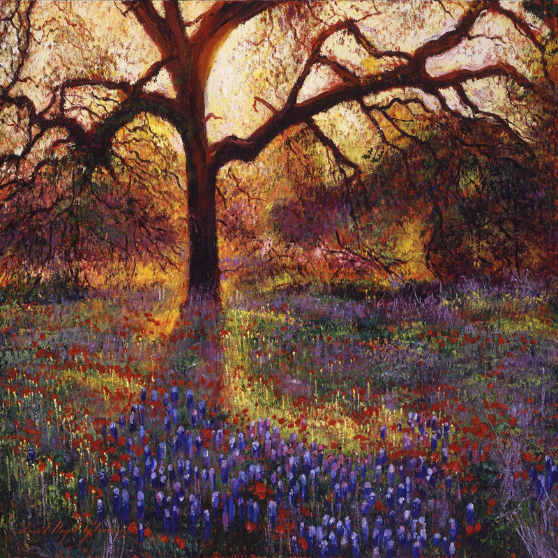 Ensemble de housse de couette en microfibre DiaNoche par David Lloyd Glover - Wildflower Meadow
