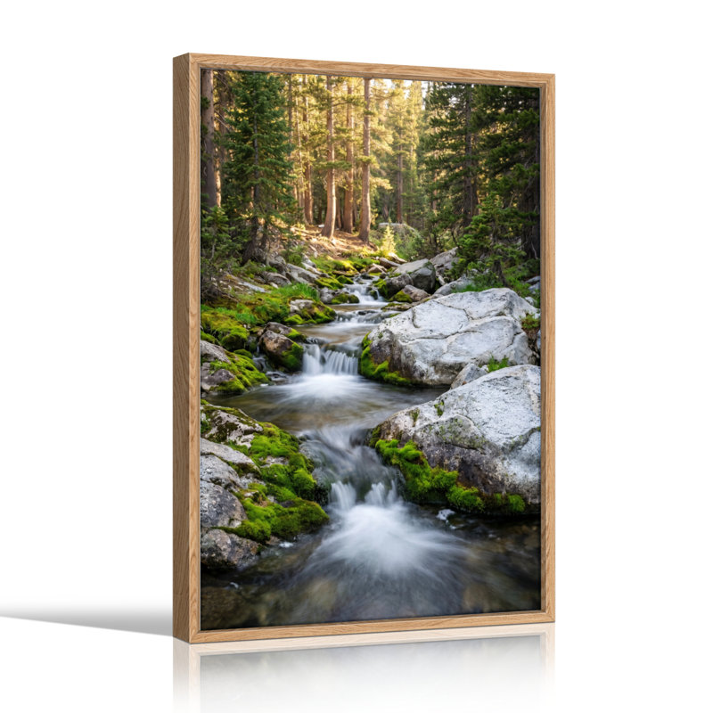 Ensemble de 1 tableau sur toile « Ruisseau forestier », H 48 po x l 32 po, Naturel