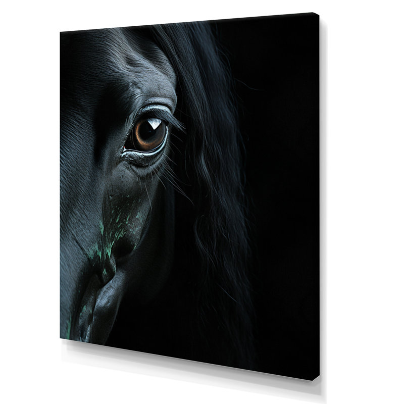 «Black Horse Mysterious Shadows - Animals», reproduction sur toile, H 44 po x l 34 po x P 1,5 po, Toile tendue