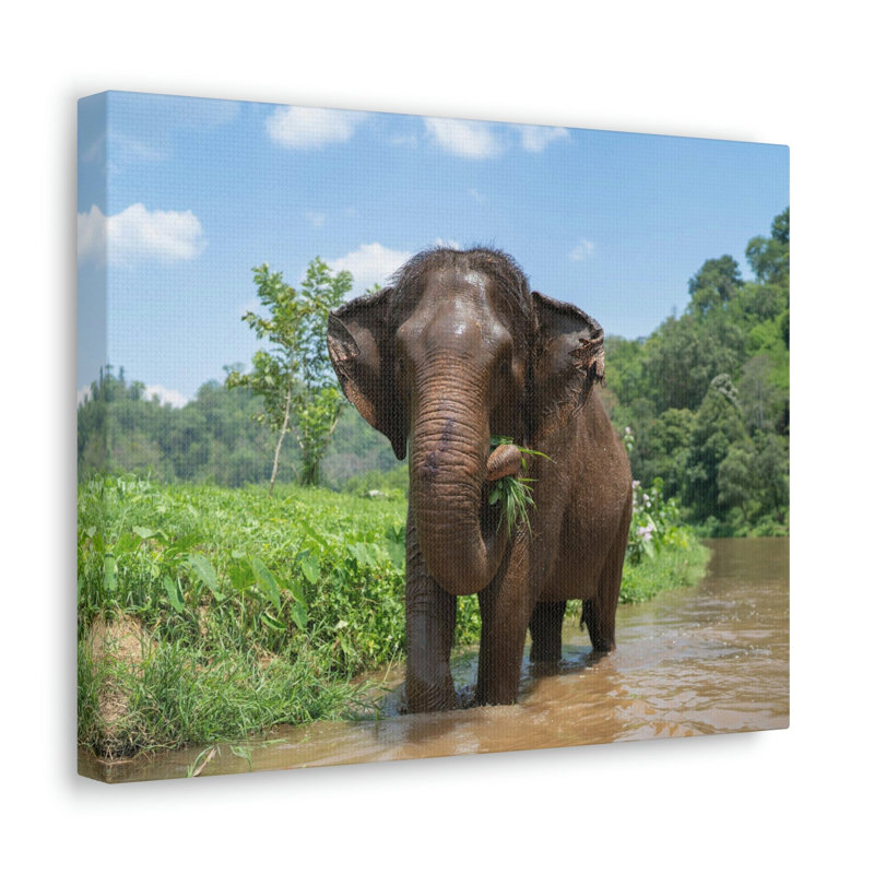 Chasse, éléphant d'Asie sur une rivière, reproduction d'art mural, H 12 po x l 18 po