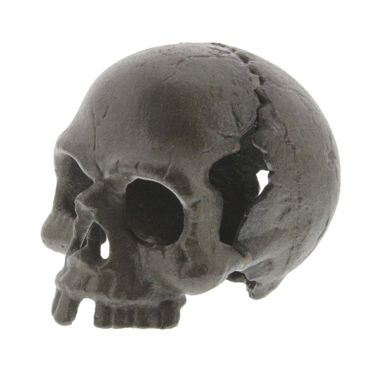 Samara Fantasy & Sci-Fi Skull